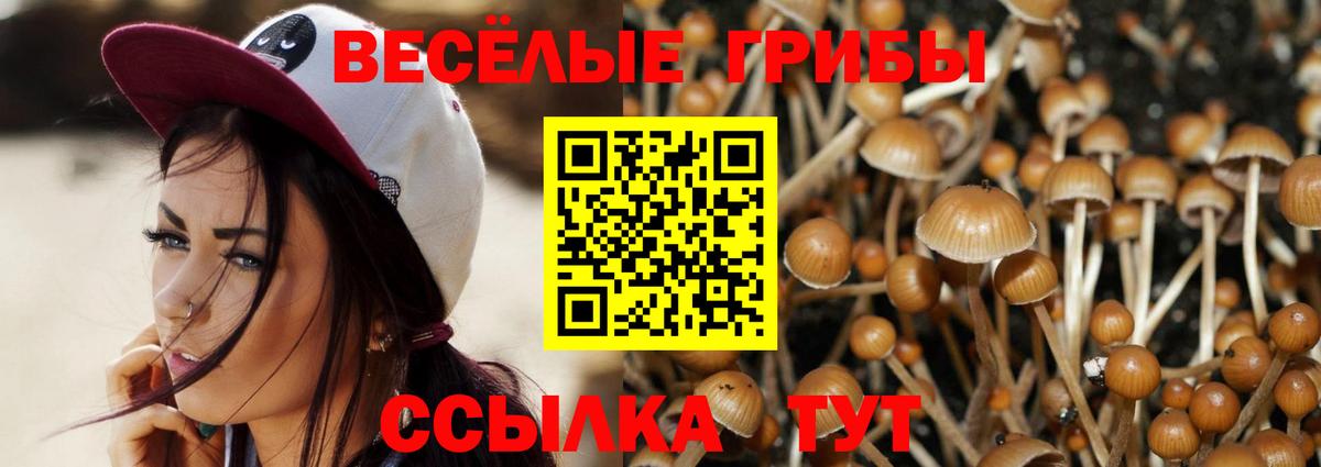Псилоцибиновые грибы Psilocybe  Вход с VPN  сколько стоит  Волгоград 